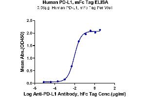 Immobilized Human PD-L1, mFc Tag at 0.