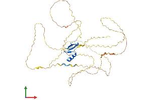AlphaFold protein structure predicition of Human Recombinant MECP2 Protein, UniprotID P51608