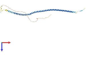 AlphaFold protein structure predicition of Mouse Recombinant Arglu1 Protein, UniprotID Q3UL36
