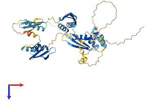 AlphaFold protein structure predicition of Mouse Recombinant Stau1 Protein, UniprotID Q9Z108