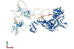 AlphaFold protein structure predicition of Mouse Recombinant Rag1 Protein, UniprotID P15919