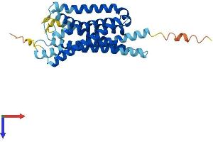 AlphaFold protein structure predicition of Human Recombinant GPR35 Protein, UniprotID Q9HC97