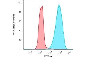 Flow cytometric analysis of PFA-fixed MCF-7 cells stained with EpCAM Mouse Recombinant Monoclonal Antibody (rMOC-31) followed by goat anti-mouse IgG-CF488 (blue), isotype control (red).
