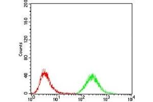 Flow cytometric analysis of Jurkat cells using MDM2 mouse mAb (green) and negative control (red). (MDM2 anticorps)