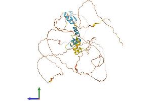 AlphaFold protein structure predicition of Mouse Recombinant Sp8 Protein, UniprotID Q8BMJ8