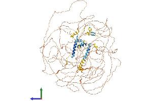AlphaFold protein structure predicition of Mouse Recombinant Bcl9 Protein, UniprotID Q9D219