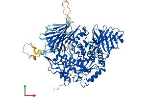AlphaFold protein structure predicition of Mouse Recombinant Ganc Protein, UniprotID Q8BVW0