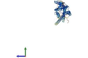 AlphaFold protein structure predicition of Mouse Recombinant Lpar1 Protein, UniprotID P61793