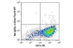 Flow Cytometry (FACS) image for anti-C-Type Lectin Domain Family 10, Member A (CLEC10A) antibody (Alexa Fluor 647) (ABIN2657165)
