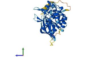AlphaFold protein structure predicition of Human Recombinant PDIK1L Protein, UniprotID Q8N165