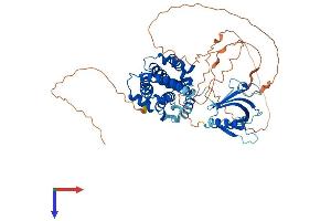 AlphaFold protein structure predicition of Human Recombinant RALGPS2 Protein, UniprotID Q86X27