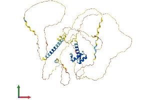 AlphaFold protein structure predicition of Human Recombinant UNCX Protein, UniprotID A6NJT0