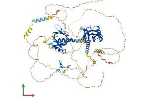 AlphaFold protein structure predicition of Mouse Recombinant Apbb2 Protein, UniprotID Q9DBR4