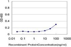 Detection limit for recombinant GST tagged OXSR1 is approximately 10ng/ml as a capture antibody. (OXSR1 anticorps  (AA 1-527))