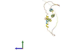 AlphaFold protein structure predicition of Human Recombinant ARL6IP6 Protein, UniprotID Q8N6S5