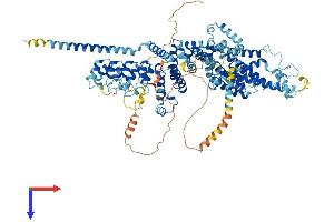 AlphaFold protein structure predicition of Mouse Recombinant Trpc6 Protein, UniprotID Q61143