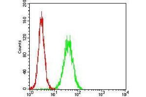 Flow cytometric analysis of Hela cells using APBB1IP mouse mAb (green) and negative control (red).