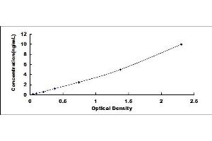Typical standard curve (IL12RB2 Kit ELISA)