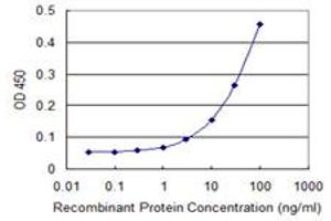 Detection limit for recombinant GST tagged TNIK is 1 ng/ml as a capture antibody. (TNIK anticorps  (AA 1-110))