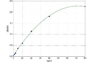 Deoxyribonuclease I (DNASE1) ELISA Kit