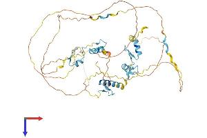AlphaFold protein structure predicition of Mouse Recombinant Insm1 Protein, UniprotID Q63ZV0