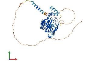 AlphaFold protein structure predicition of Human Recombinant ASPHD1 Protein, UniprotID Q5U4P2