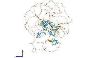 AlphaFold protein structure predicition of Human Recombinant ZNF592 Protein, UniprotID Q92610