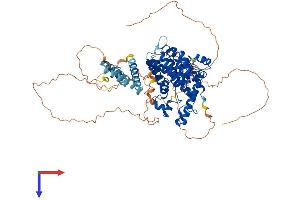 AlphaFold protein structure predicition of Human Recombinant PDE4B Protein, UniprotID Q07343