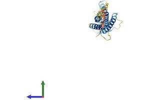 AlphaFold protein structure predicition of Mouse Recombinant Cldn17 Protein, UniprotID Q8BXA6