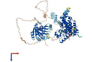 AlphaFold protein structure predicition of Human Recombinant PDE8A Protein, UniprotID O60658