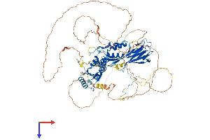 AlphaFold protein structure predicition of Mouse Recombinant Nbn Protein, UniprotID Q9R207