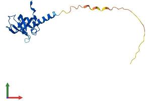 AlphaFold protein structure predicition of Mouse Recombinant Ten1 Protein, UniprotID Q9D7K2
