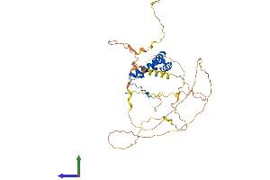 AlphaFold protein structure predicition of Human Recombinant SOX17 Protein, UniprotID Q9H6I2