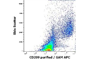 Flow cytometry surface staining pattern of human stimulated (GM-CSF+IL-4) peripheral blood mononuclear cells stained using anti-human CD209 (UW60. (DC-SIGN/CD209 anticorps)