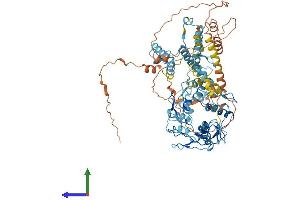 AlphaFold protein structure predicition of Human Recombinant ZNF483 Protein, UniprotID Q8TF39