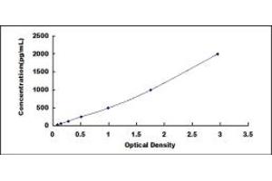 Typical standard curve (ANG Kit ELISA)