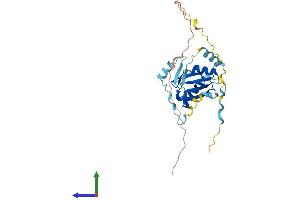AlphaFold protein structure predicition of Human Recombinant RCAN1 Protein, UniprotID P53805