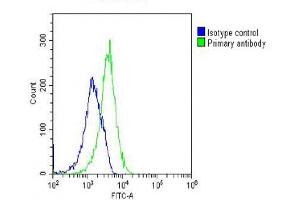 Overlay histogram showing U-2 OS cells stained with (ABIN6242957 and ABIN6577252)(green line).