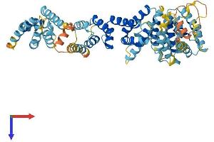 AlphaFold protein structure predicition of Mouse Recombinant Fancc Protein, UniprotID P50652