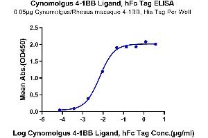 Immobilized Cynomolgus/Rhesus macaque 4-1BB, hFc Tag at 0. (TNFSF9 Protein (AA 68-251) (Fc Tag))