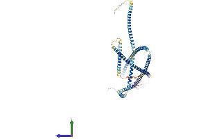 AlphaFold protein structure predicition of Mouse Recombinant Jakmip1 Protein, UniprotID Q8BVL9