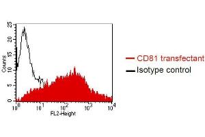 FACS analysis of Dubca cells using QV-6A8-S3 Cat.