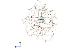 AlphaFold protein structure predicition of Human Recombinant PRX Protein, UniprotID Q9BXM0