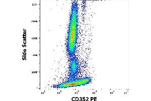 Flow cytometry surface staining pattern of human peripheral whole blood stained using anti-human CD352 (hsF6. (SLAMF6 anticorps  (PE))