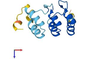 AlphaFold protein structure predicition of Mouse Recombinant Nrarp Protein, UniprotID Q91ZA8