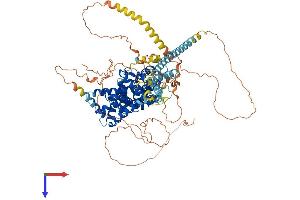 AlphaFold protein structure predicition of Mouse Recombinant Tbc1d5 Protein, UniprotID Q80XQ2