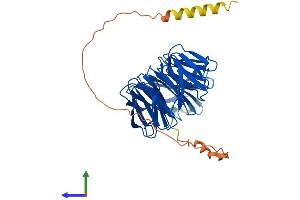 AlphaFold protein structure predicition of Human Recombinant PAK1IP1 Protein, UniprotID Q9NWT1