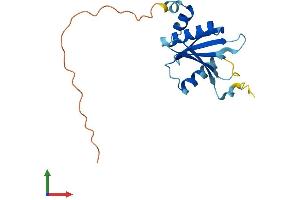 AlphaFold protein structure predicition of Human Recombinant TSEN15 Protein, UniprotID Q8WW01