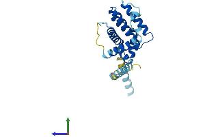 AlphaFold protein structure predicition of Human Recombinant BOK Protein, UniprotID Q9UMX3