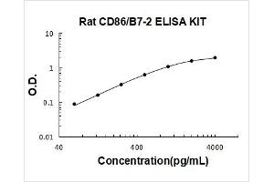 CD86 (CD86) ELISA Kit